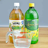 vinegar bath for fleas