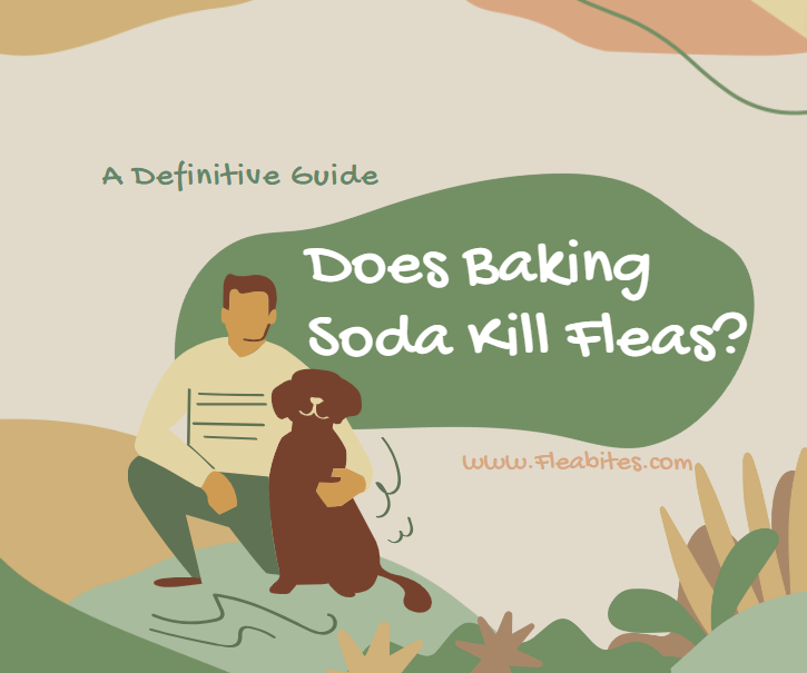 baking soda kill fleas cover